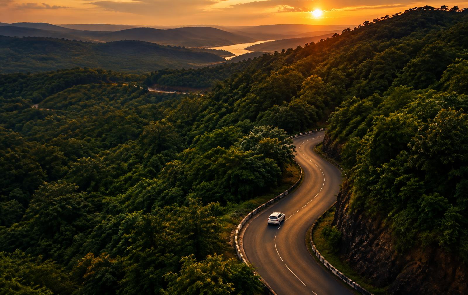 SUV on a scenic forest road